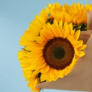 5 Sunflowers - image №2