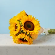 5 Sunflowers - image №3