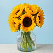 10 Sunflowers - image №2