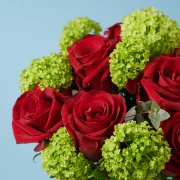 Fiery Red Bouquet - image №3