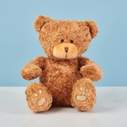 Teddy Bear 22cm - image №1