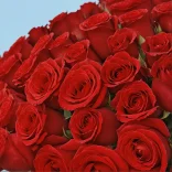 100 Red Roses from Kenya - image №4