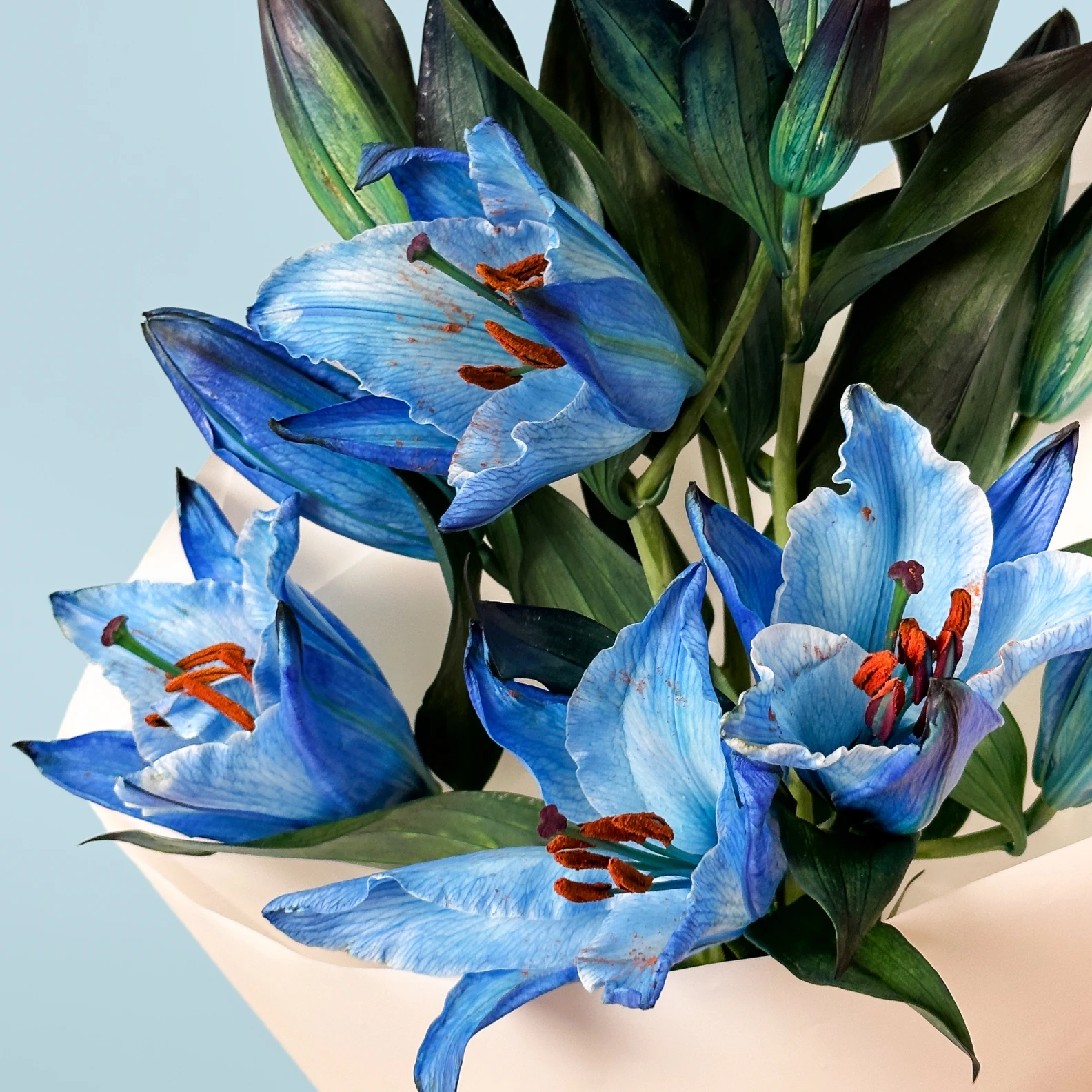3 Blue Lilies - image №3