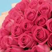 35 Pink Roses from Kenya - image №4