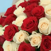 50 Premium White and Red Roses - image №4