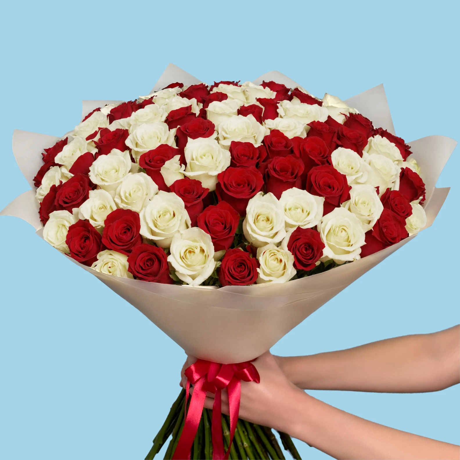 100 Premium White and Red Roses - image №3