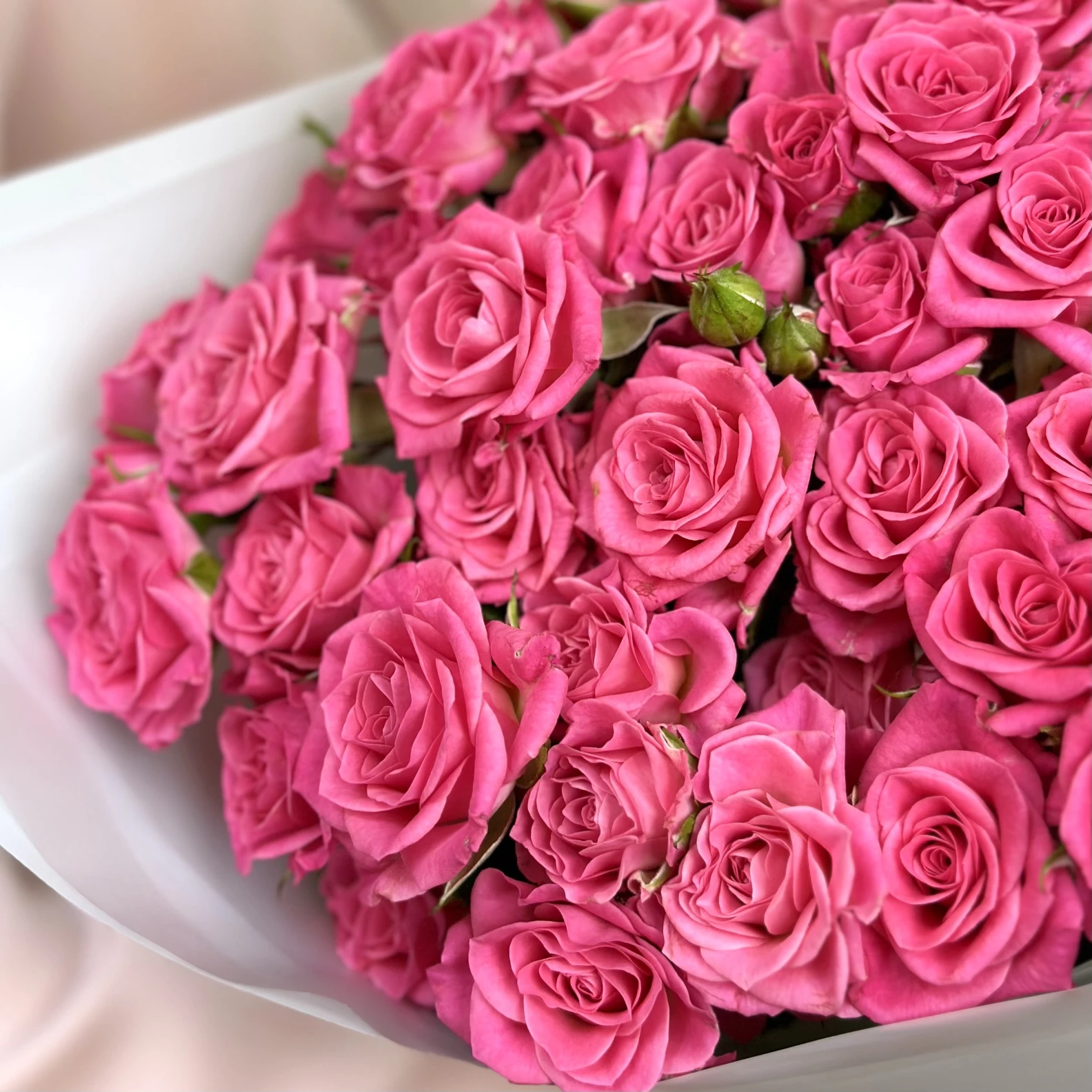 17 Spray Pink Roses - image №3