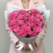 17 Spray Pink Roses - image №1
