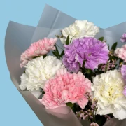 Tender Mixed Carnations - image №3