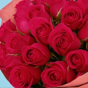 20 Hot Pink Roses from Kenya - image №4