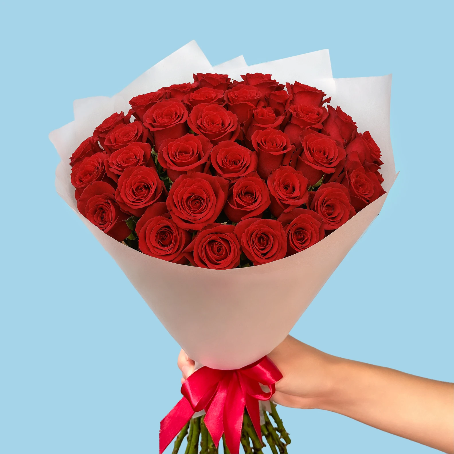 35 Red Roses from Kenya - image №3