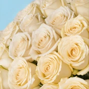 35 Premium White Roses - image №4