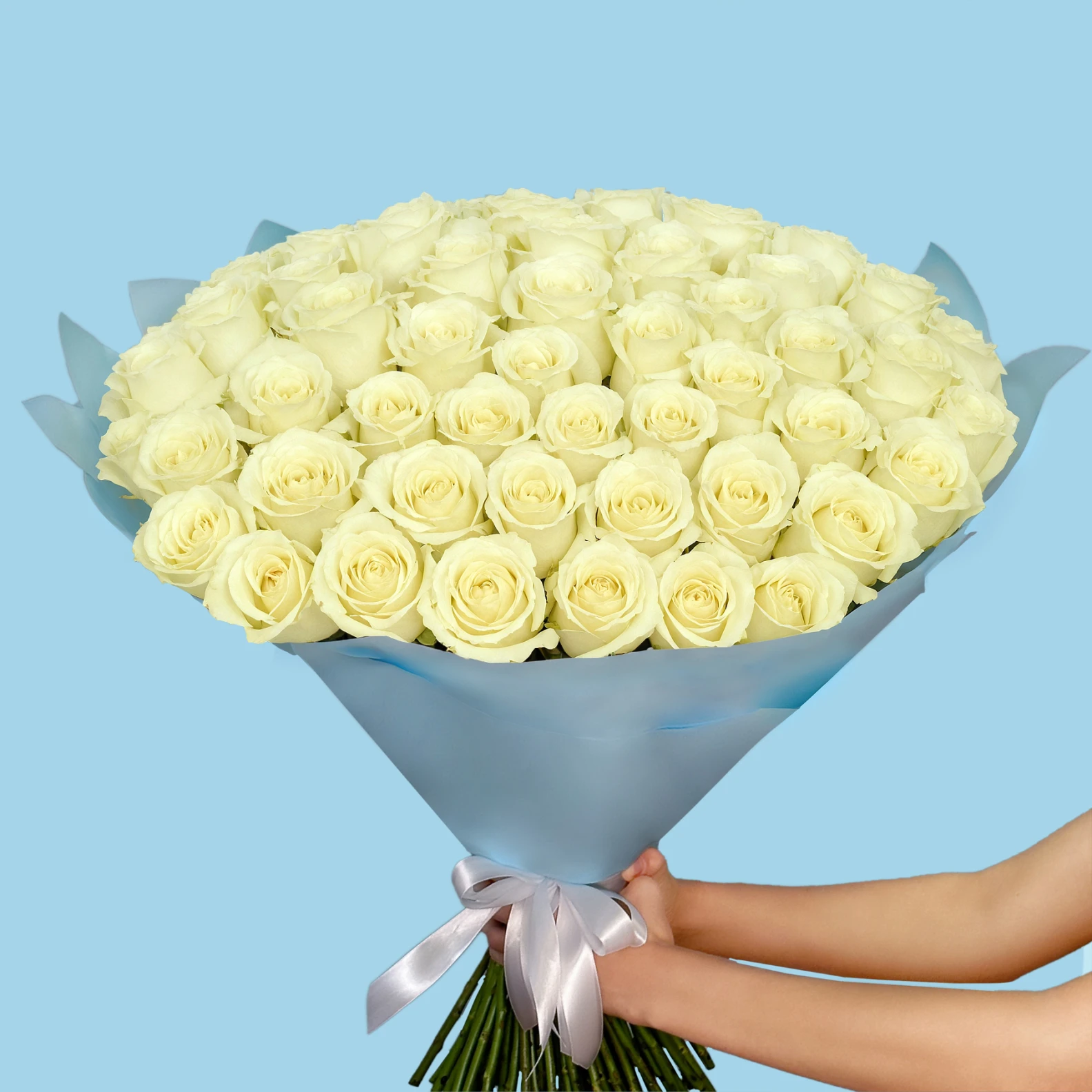 100 Premium White Roses - image №3