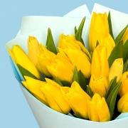 20 Yellow Tulips - image №3