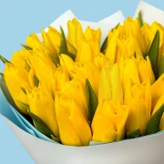 40 Yellow Tulips - image №3