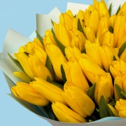 70 Yellow Tulips - image №3