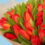 70 Red Tulips - image №3