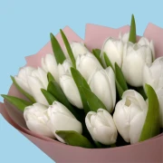20 White Tulips - image №3