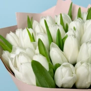 40 White Tulips - image №3