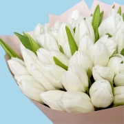 70 White Tulips - image №3