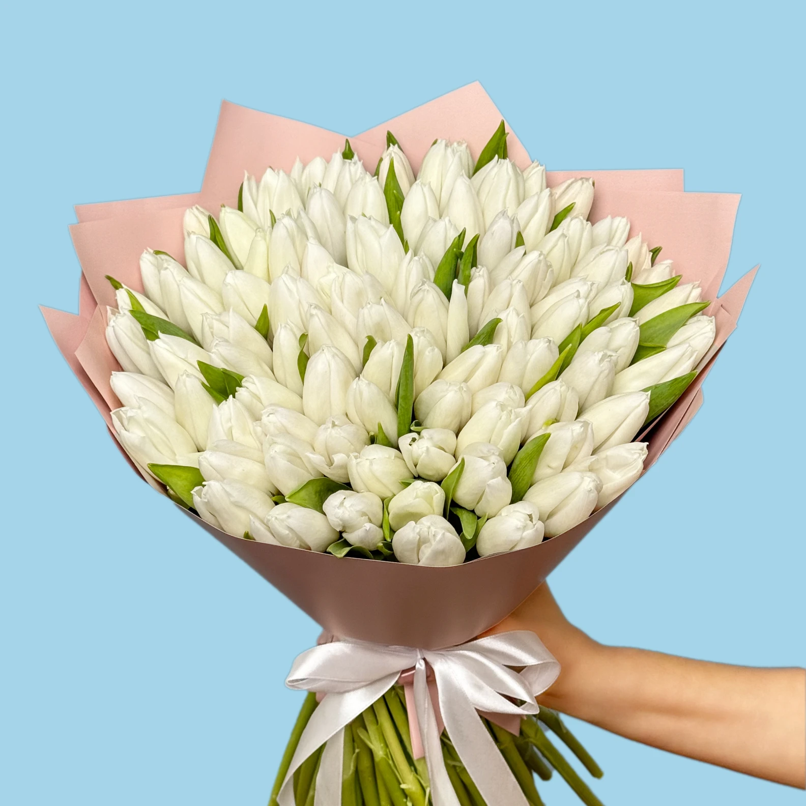 100 White Tulips - image №2