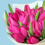 20 Pink Tulips - image №3