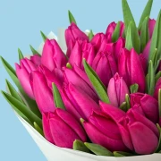 40 Pink Tulips - image №3