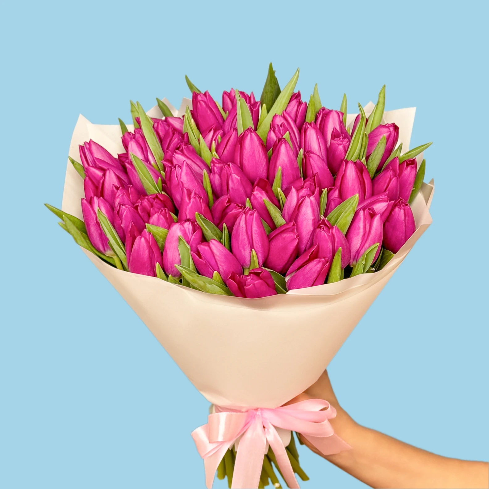 70 Pink Tulips - image №2
