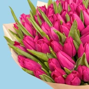 100 Pink Tulips - image №3