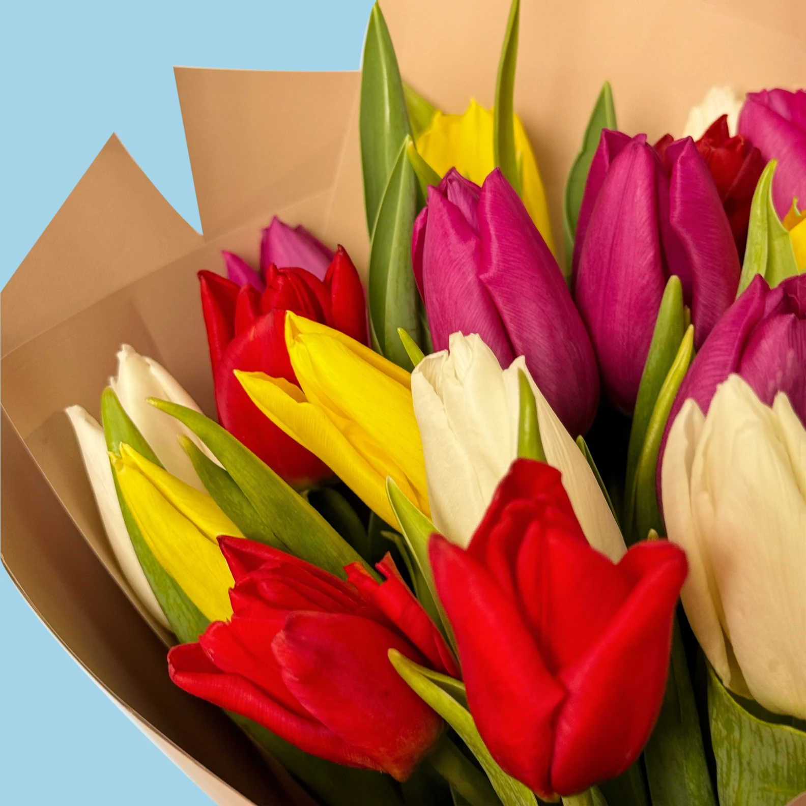 20 Mixed Tulips - image №3