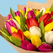 40 Mixed Tulips - image №3