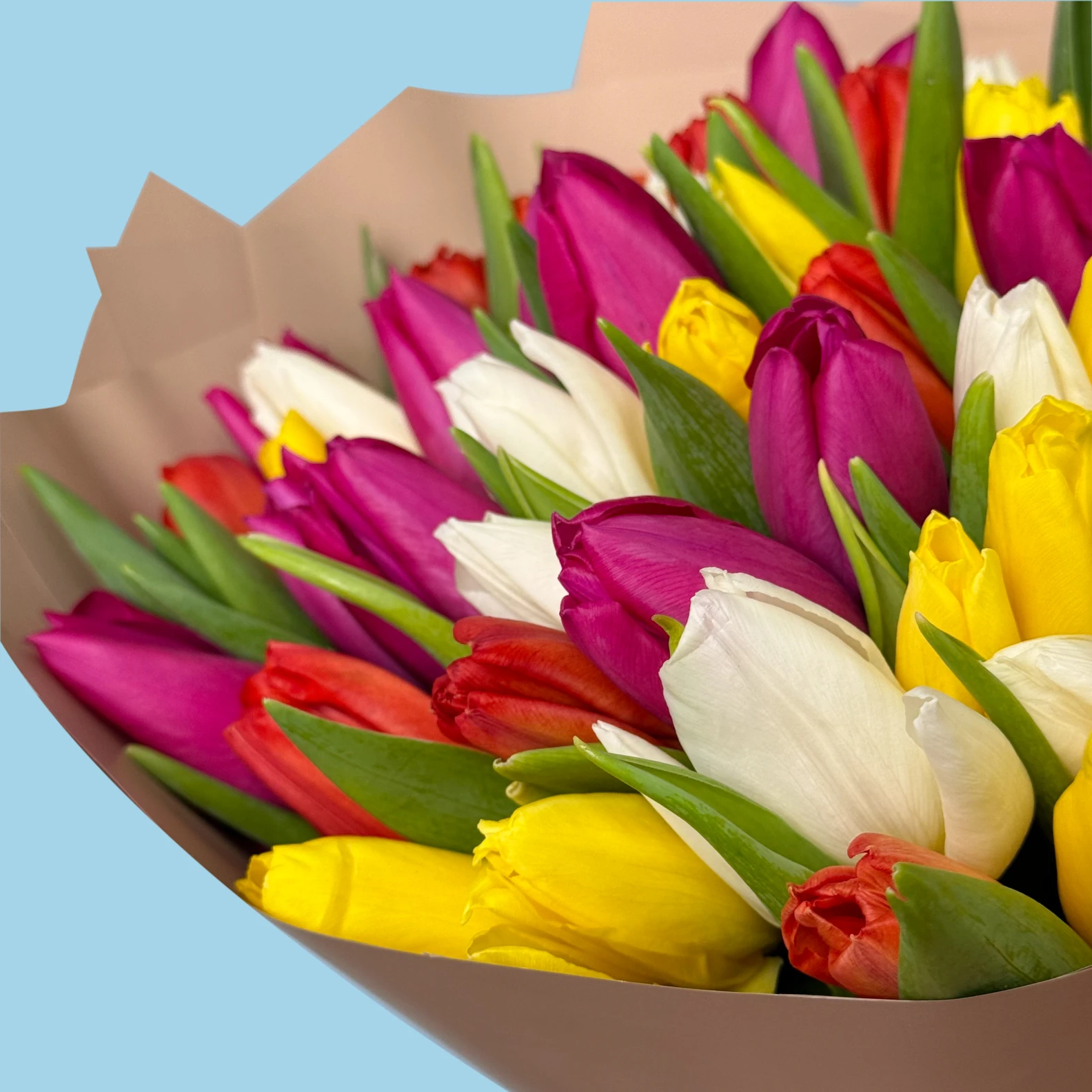 70 Mixed Tulips - image №3