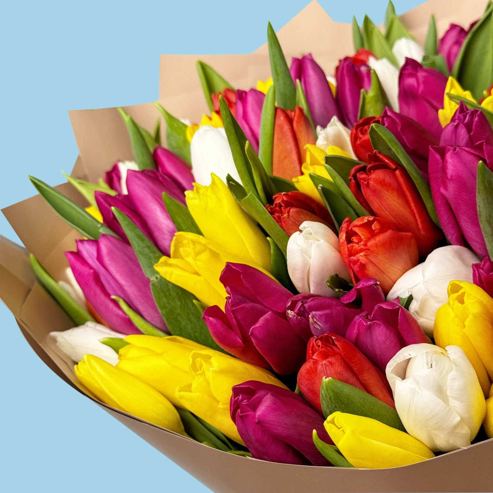 100 Mixed Tulips - image №3