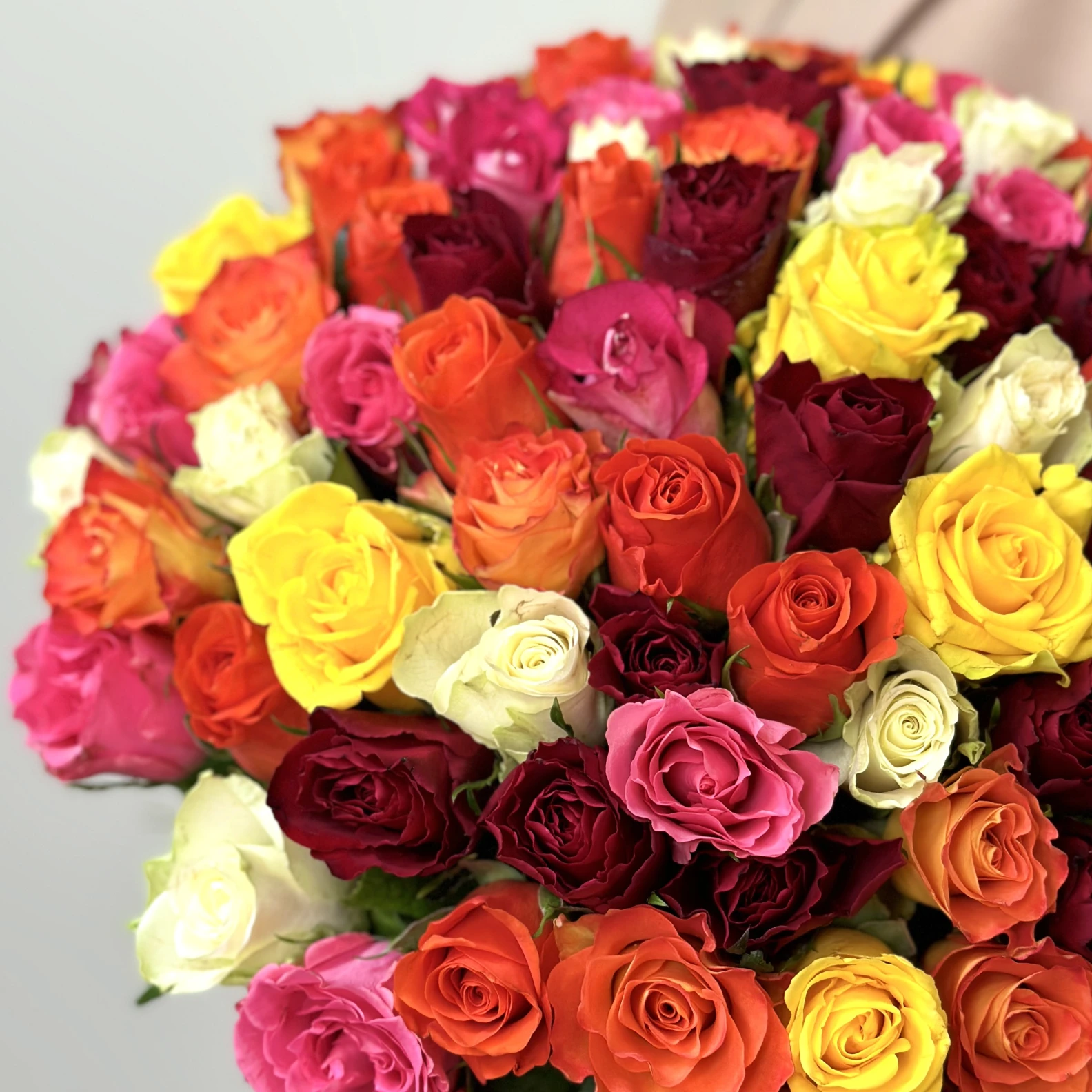 100 Mixed Roses 35cm - image №3