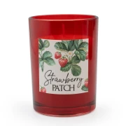 Single Wick Candle With Alpine Wild Strawberry - image №1