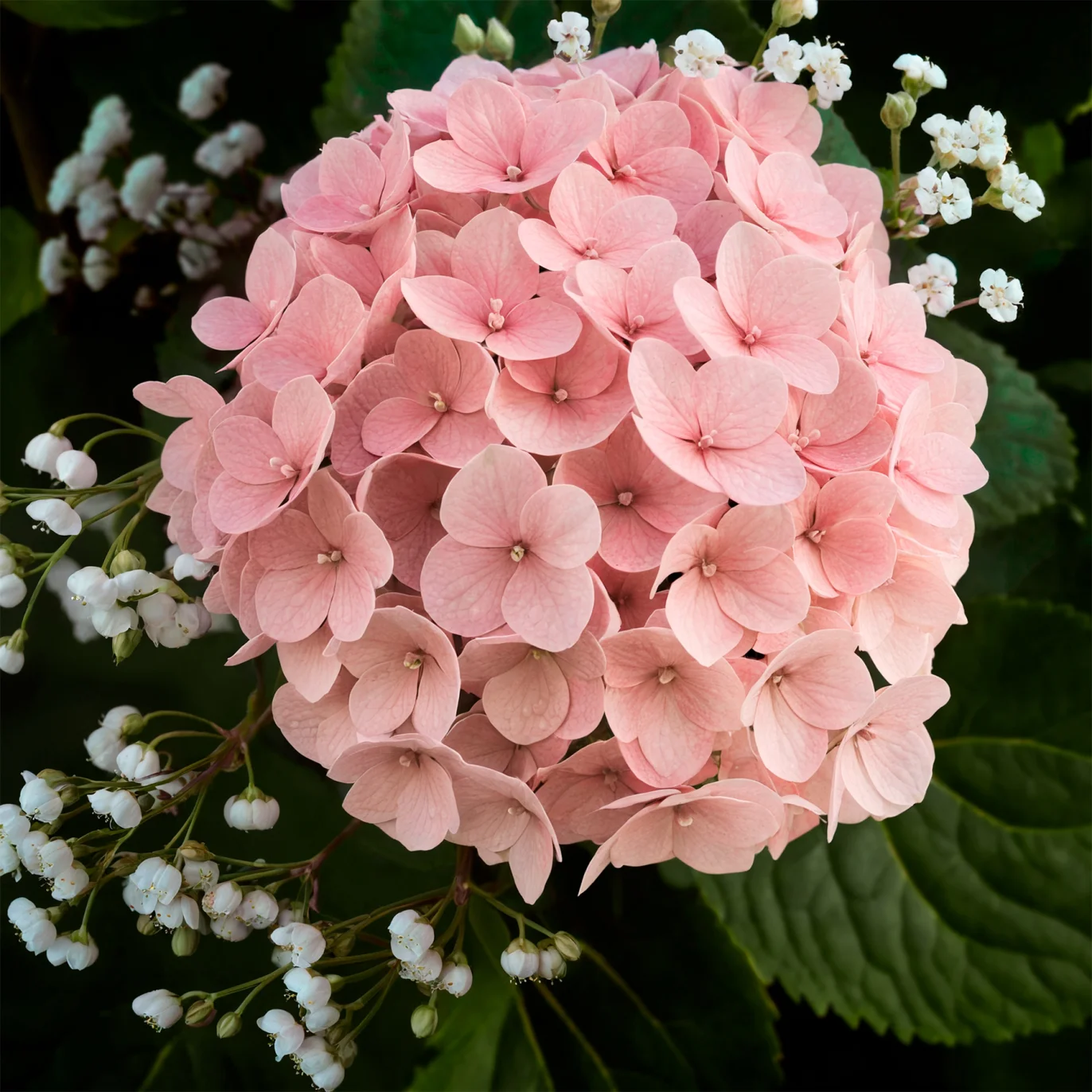 Tenderness - image №2