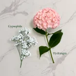 Tenderness - image №4