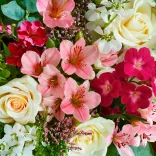 Bloom garden - image №2