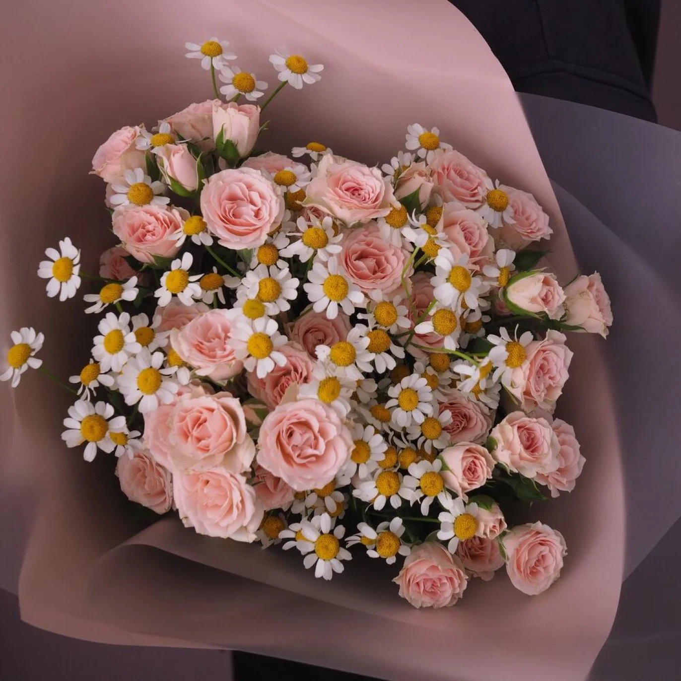Pink season - image №2