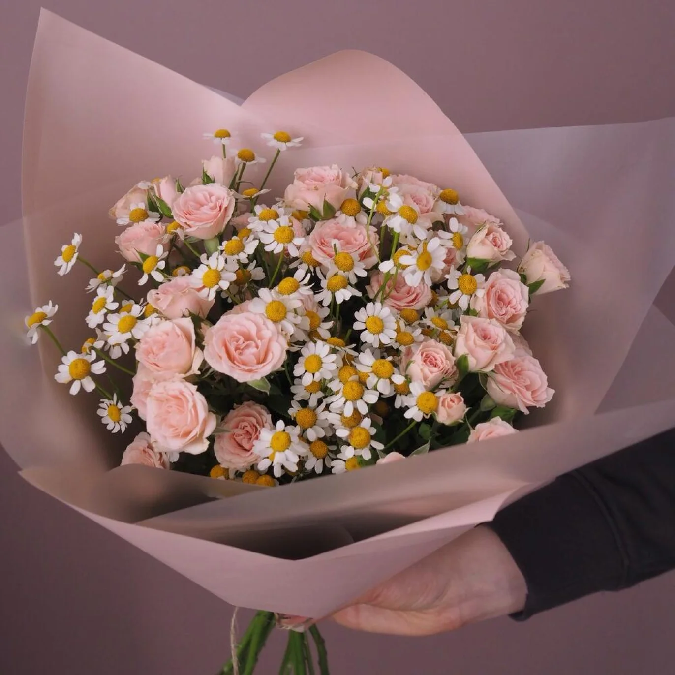 Pink season - image №3