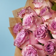 10 Premium Purple Roses - image №3
