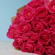 20 Premium Hot Pink Roses - image №2