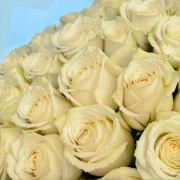 20 Premium White Roses - image №4