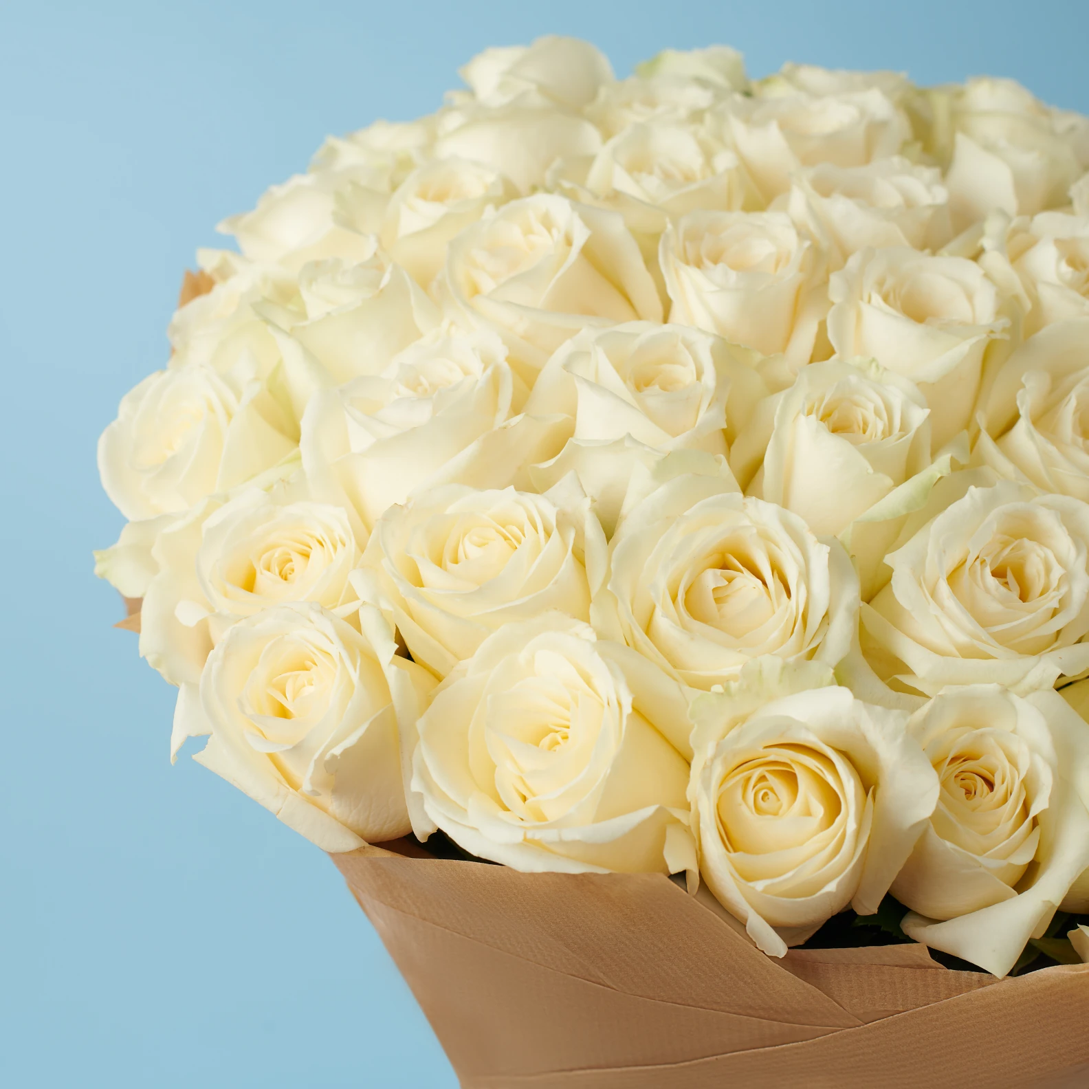 50 Premium White Roses - image №3