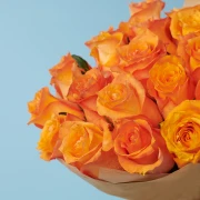 20 Premium Orange Roses - image №4