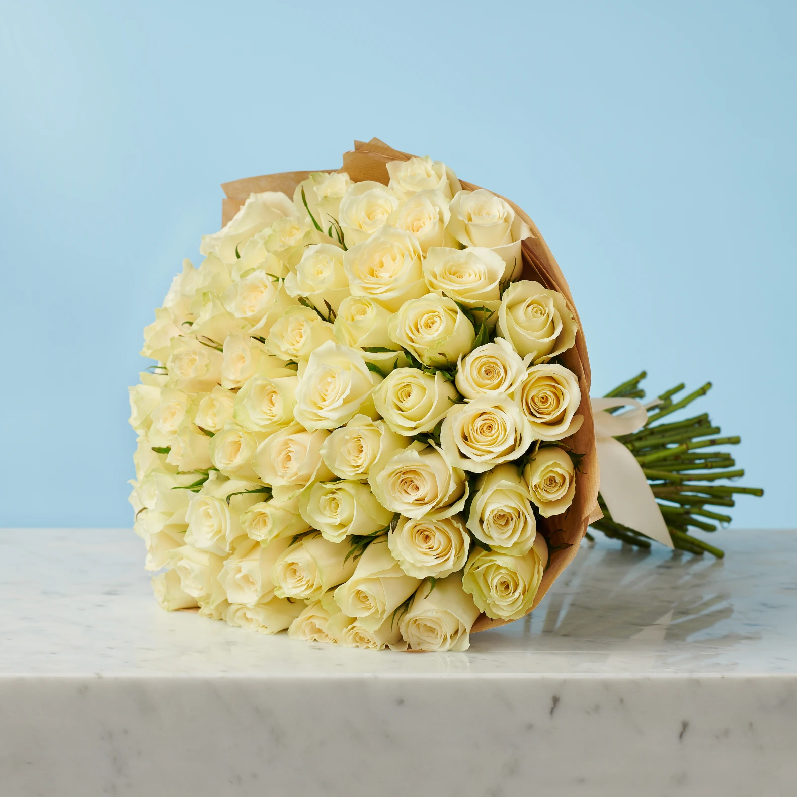 50 White Roses from Kenya - image №4
