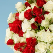 Beautiful Contrast Bouquet - image №2