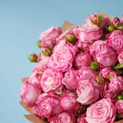 10 Peony Pink Roses - image №2