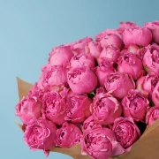 20 Peony Pink Roses - image №3